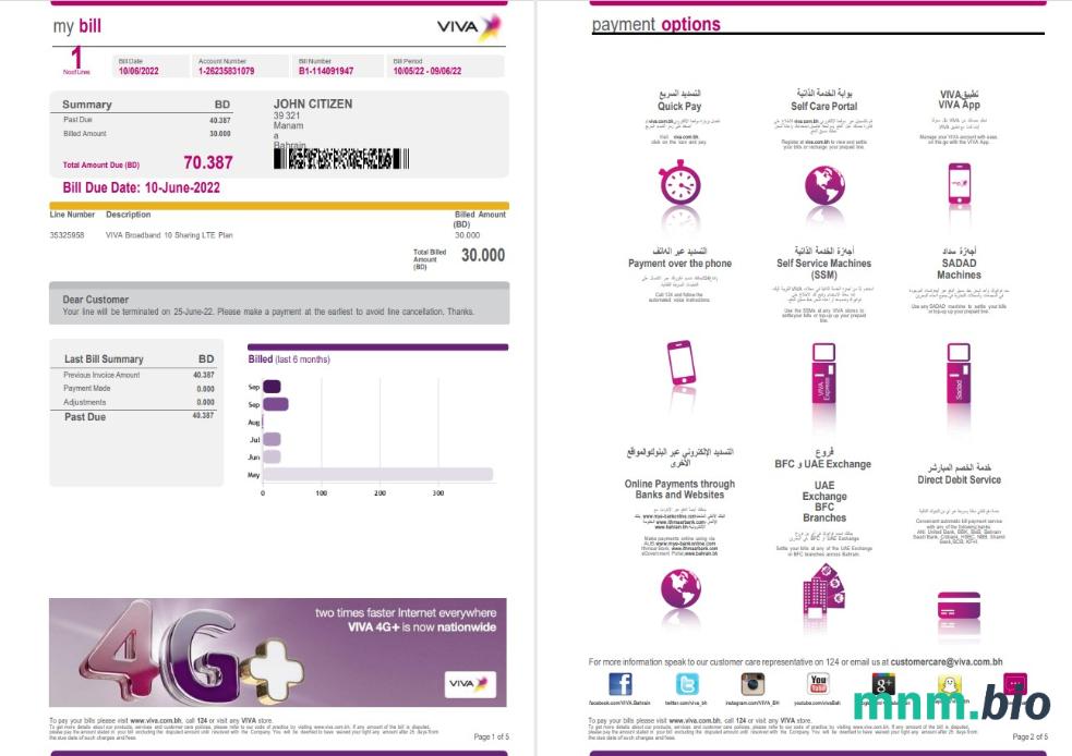 Bahrain Viva my rachunek za media Word i PDF template, 5 strony 1 2